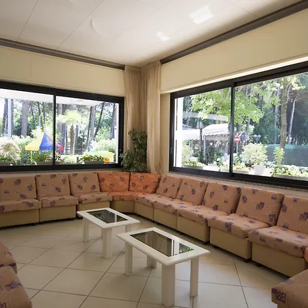 Hotel San Domenico Pinarella 3*